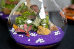 Terario-2025_dia-23_-159